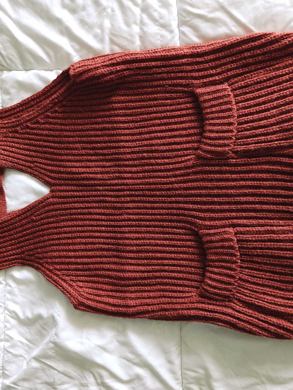 Sacred Threads Ribbed Knit Tank Sweater in Rust Red